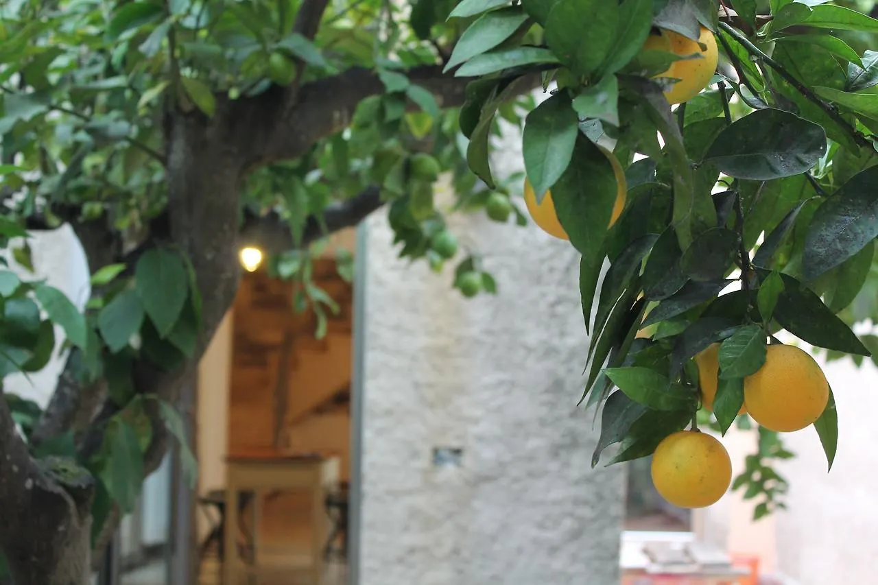 B&B Danonna Ittiri