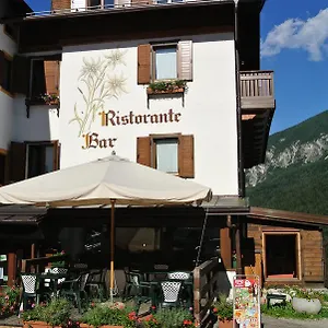 Stella Alpina 3*, San Pietro di Cadore Italia